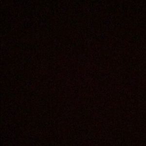 Meet your Posher, Eliana